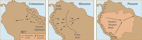 between 65 and 145 million years|A River Runs Backward .